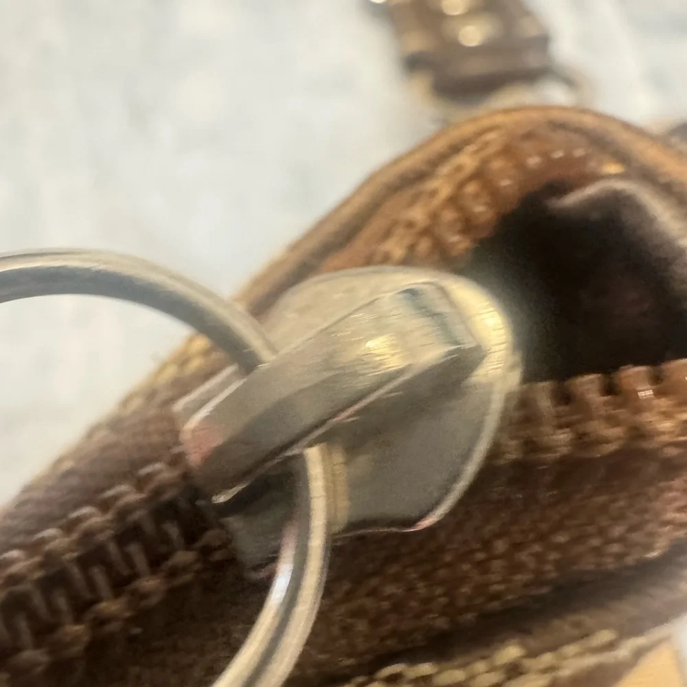 Coach Crossbody Cutie